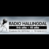 undefined Radio Hallingdal