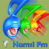 undefined Hamsi FM