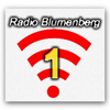 undefined radio-blumenberg-1