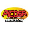 undefined Radio Picosa