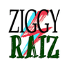 undefined Radio Ziggy Raiz