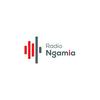 undefined Radio Ngamia