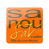 undefined SanouSAV Radio