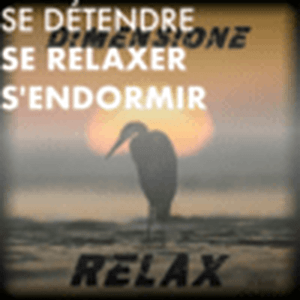 Höre Se détendre, se relaxer, s'endormir avec Radio Dimensione Relax in der App.