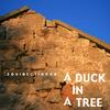 undefined A Duck in a Tree