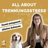 undefined All About Trennungsstress | Hund entspannt alleine Zuhause 🐶 🏠