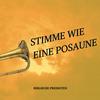 undefined Stimme wie eine Posaune (Biblische Predigten)