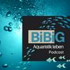 undefined BiBiG - Aquaristik leben