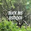 undefined Blick ins Astloch