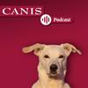 undefined Der CANIS-Podcast – Hundeexpert:innen ausgefragt