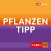 undefined Radio Wien Pflanzentipp