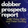 undefined Dobber Prospects Report