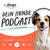 undefined edogs - Dein Hunde Podcast