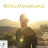 undefined Elevated Consciousness