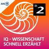 undefined IQ - Wissenschaft schnell erzählt