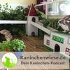 undefined Kaninchenwiese.de Dein Kaninchen-Podcast