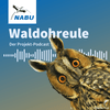 undefined Waldohreule - NABU Projekt-Podcast