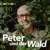 undefined Peter und der Wald – ein GEO-Podcast