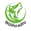 undefined Podcast – Wölferadio – DER VfL-Podcast