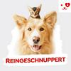 undefined Reingeschnuppert