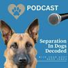 undefined Separation Anxiety In Dogs Decoded hosted by Ness Jones