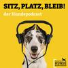 undefined Sitz! Platz! Bleib! - der Hundepodcast