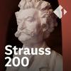 undefined Strauss 200