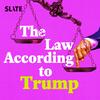 undefined The Law According to Trump