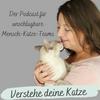 undefined Verstehe deine Katze Podcast, Katzenverhalten verstehen, Katzenpsychologin Katrin Knispel