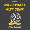 undefined Volleyball mit Senf