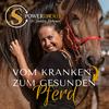 undefined Vom kranken zum gesunden Pferd