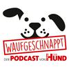 undefined Waufgeschnappt - der Podcast von DER HUND