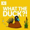 undefined What The Duck?!