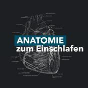 Podcast Anatomie zum Einschlafen