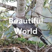 Podcast Beautiful World