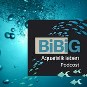 Podcast BiBiG - Aquaristik leben