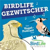 Podcast BirdLife Gezwitscher