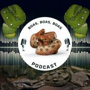 Podcast Boas, Boas, Boas