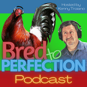 Podcast Bred to Perfection