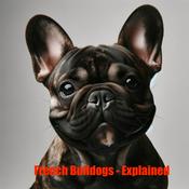 Podcast French Bulldogs - Explained