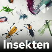 Podcast Insekten