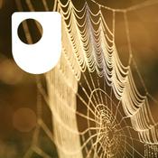 Podcast Investigating spiders: life on a thread - for iPad/Mac/PC