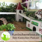 Podcast Kaninchenwiese.de Dein Kaninchen-Podcast