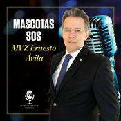 Podcast Mascotas SOS con MVZ Ernesto Ávila