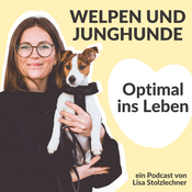 Podcast Optimal ins Leben! Welpen und Junghunde