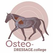 Podcast OsteoDressage - Reiten, wie es Pferde lieben