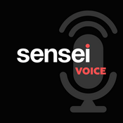 Podcast SenseiVoice. Про продажи и маркетинг