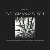 Podcast Waldmann & Wesch