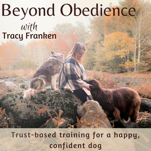 Höre Beyond Obedience | Dog Training, Dog Behaviour Training, Scared Dogs, Reactive Dogs in der App.