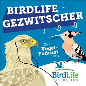 Höre BirdLife Gezwitscher in der App.